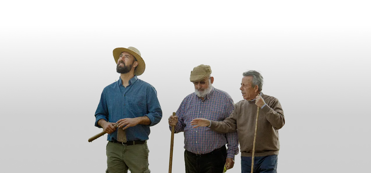 Personas