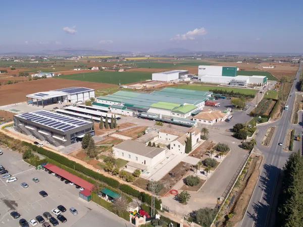 Dcoop's turnover in 2023 was of 1.409 million euros