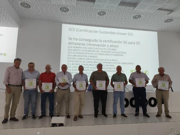 Dcoop suma 33 cooperativas certificadas en sostenibilidad del aceite de oliva a lo largo de toda la cadena de valor
